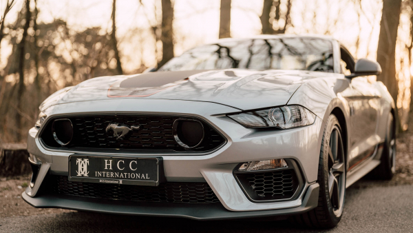 Mustang - HCC-International